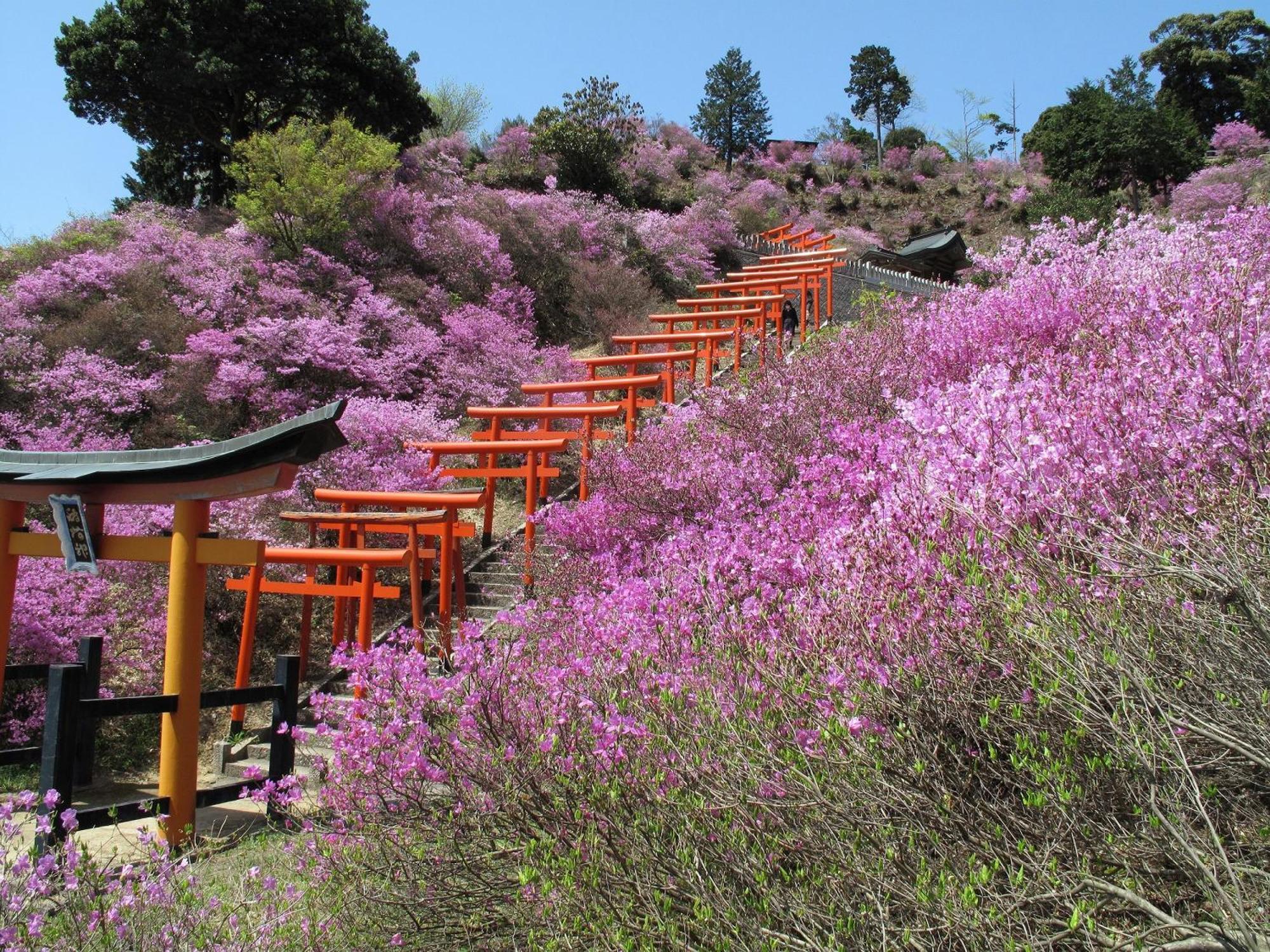 Mercure Kyoto Miyazu Resort & Spa Exterior photo